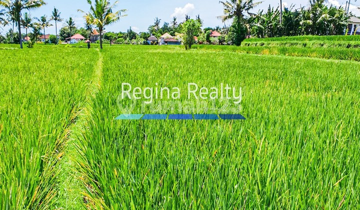 Dijual Bangunan dan Tanah,  Ubud Bali