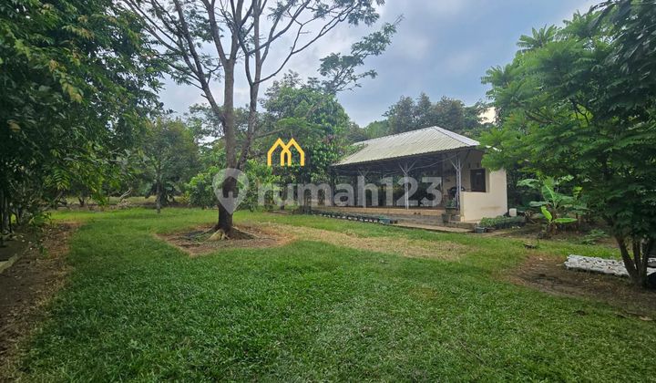 Cheap Sale of Farm Plots in Serang Ready for Survey Cheap Sale of Farm Plots in Serang Ready for Survey