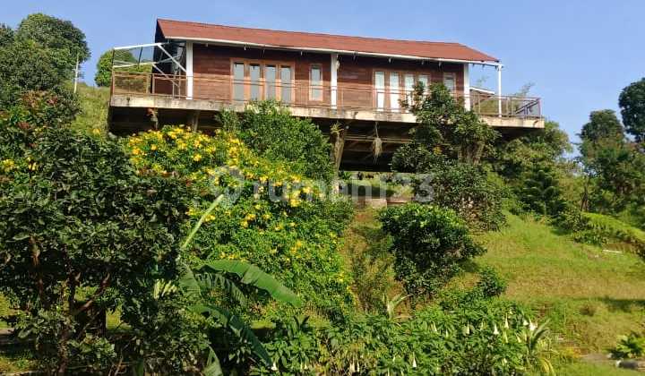 5962-Lu di Jual Villa Mewah Daerah Bogor 5962-Lu di Jual Villa Mewah Daerah Bogor