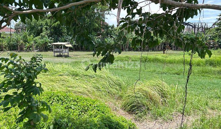 Jual Tanah Di Banjar Kuwum Umalas 1