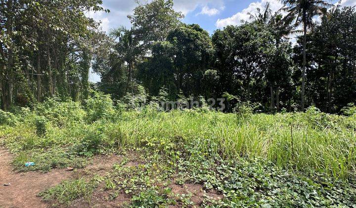 Land for sale in Tanah Lot Bali, 8 minutes to the beach 2