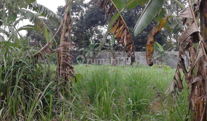 Tanah 431 Meter Persegi Dalam Perumahan Pakuan 2, Tajur 1