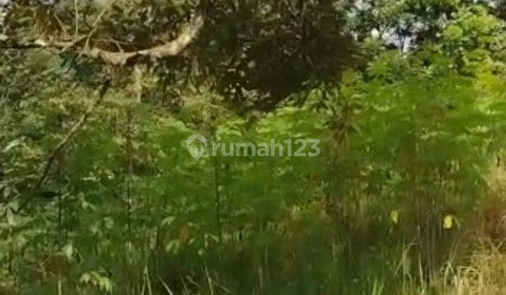 Tanah 5,5 Hektar Fasilitas Lengkap Kandang Sapi Ayam, Murah Meriah di Parung Kuda 4