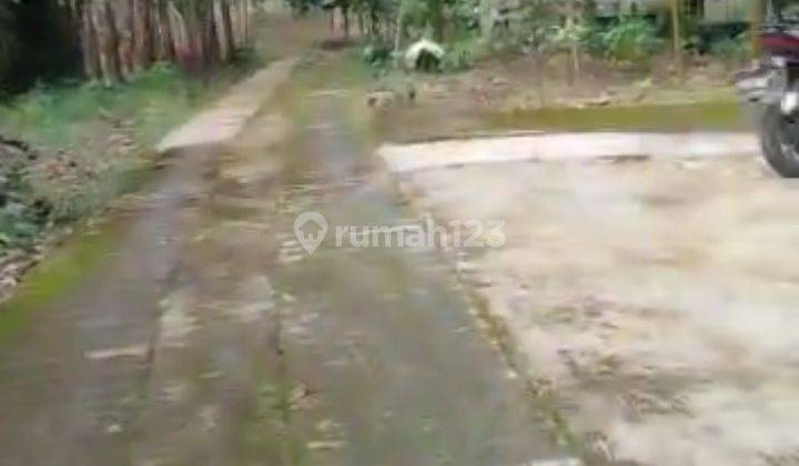 Tanah 5,5 Hektar Fasilitas Lengkap Kandang Sapi Ayam, Murah Meriah di Parung Kuda 7