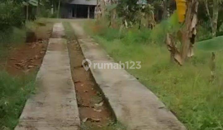 Tanah 5,5 Hektar Fasilitas Lengkap Kandang Sapi Ayam, Murah Meriah di Parung Kuda 14