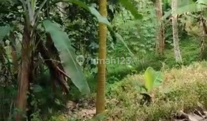 Tanah 5,5 Hektar Fasilitas Lengkap Kandang Sapi Ayam, Murah Meriah di Parung Kuda 13