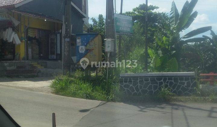 Tanah 1210 Meter, Murah Meriah di Kp. Babakan, Ciseeng 3