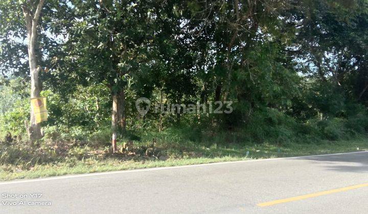 TANAH KOMESIEL JUAL MURAAAH 5