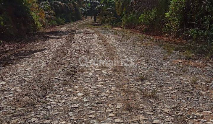 Tanah Ikn harga murah Tanah 4