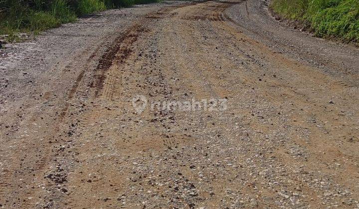 Tanah Ikn harga murah Tanah 8