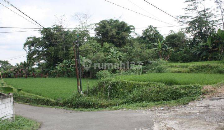 6 Petak Sawah Bisa Unt Rumah Atau Villa 2