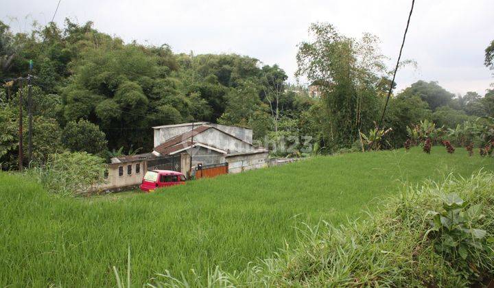 6 Petak Sawah Bisa Unt Rumah Atau Villa 1