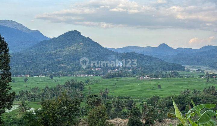 Tanah Murah Siap Bangun Pinggir Jalan Provinsi Transyogi Bogor Timur 2