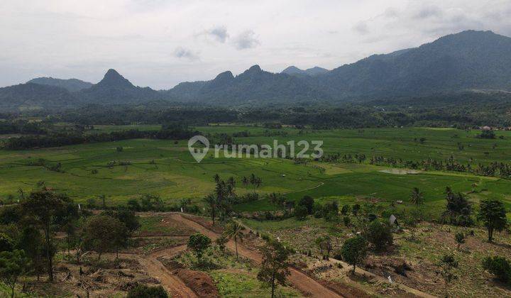 Tanah Murah Pinggir Jalan Provinsi Transyogi 2