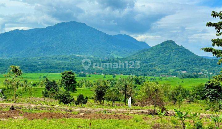 Tanah Murah Pinggir Jalan Transyogi Bogor Timur 2