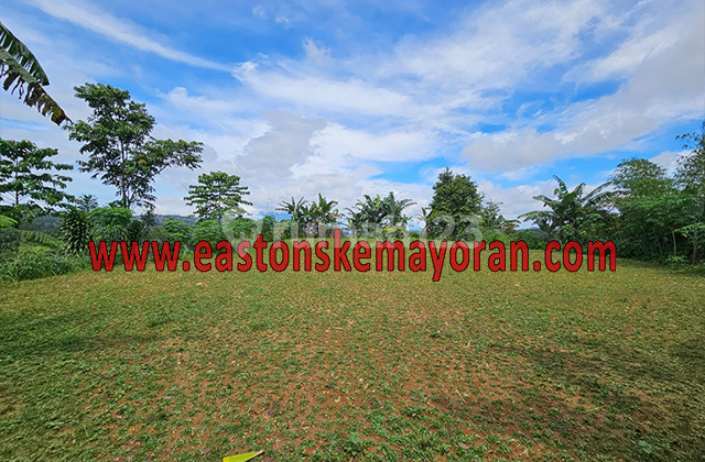 Dijual Kavling Cisarua Dijual Kavling Cisarua