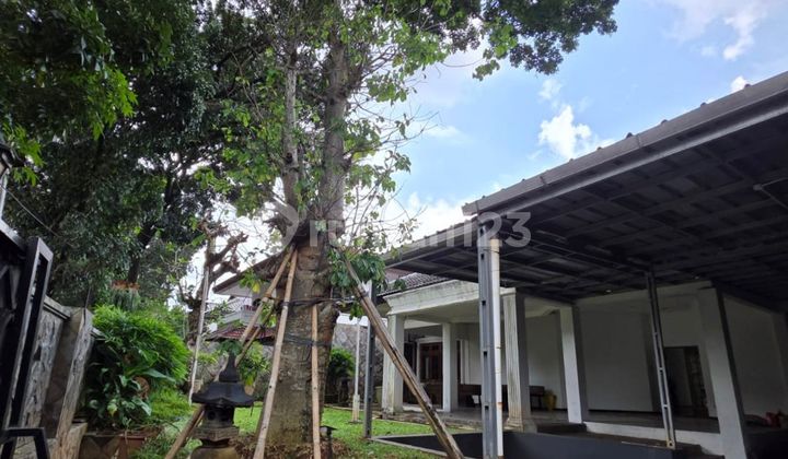 Rumah Asri Prime Area Di Pondok Indah