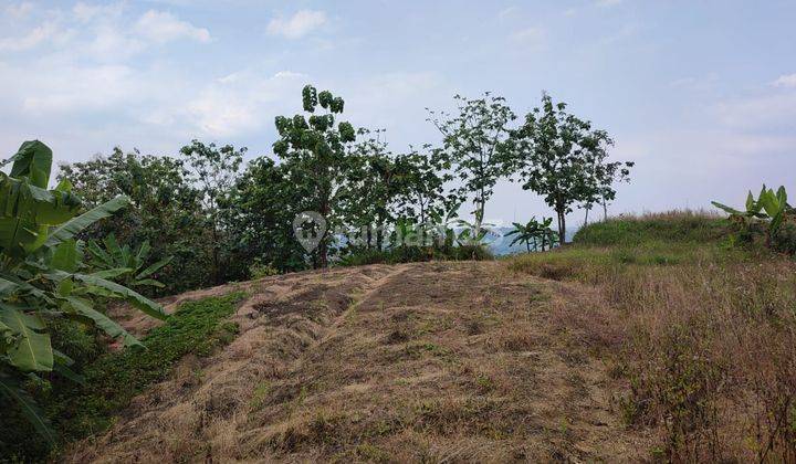 Tanah Sadeng Gunung Pati 1