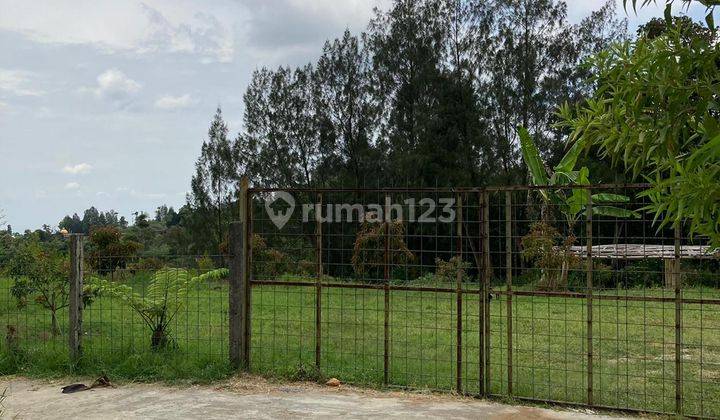 Dijual Tanah Kopeng Lokasi Strategis di Jalan Raya 2