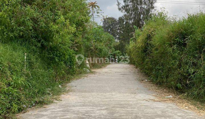 Dijual Tanah Kopeng Lokasi Strategis di Jalan Raya 4