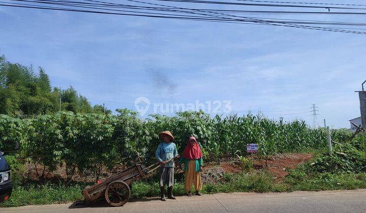 Disewakan Tanah Untung Suropati Ngaliyan 2