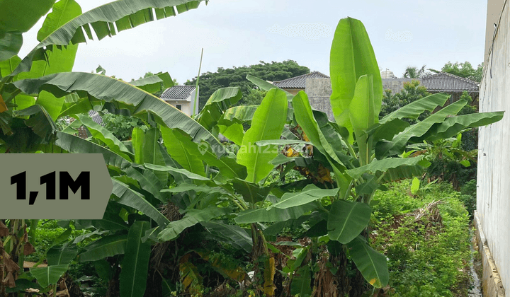 Jual Tanah Tamtama Jangli 1