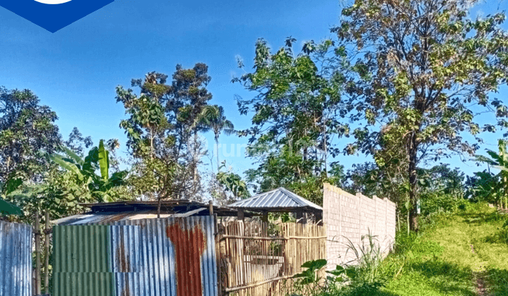 Tanah Lemah Abang Bandungan View Gunung 1