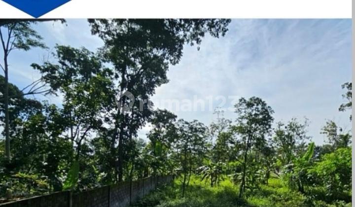 Jual Tanah di Bandungan Cocok untuk Bangun Villa 1