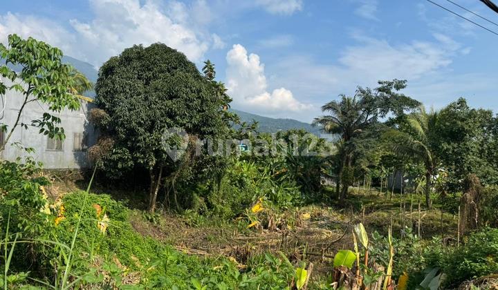 Tanah Samping Roti Virgin  Ungaran  2