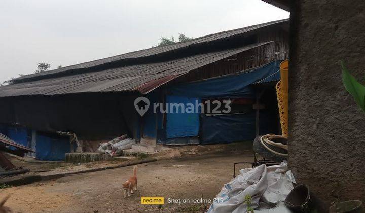 Pabrik Ayam di Jl Jeruk Rt 2 Rw 2 Desa Cibadung, Bogor 2