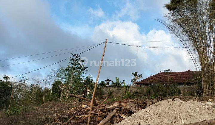 Cheap Land For Rent Near Dipecatu Beach 1