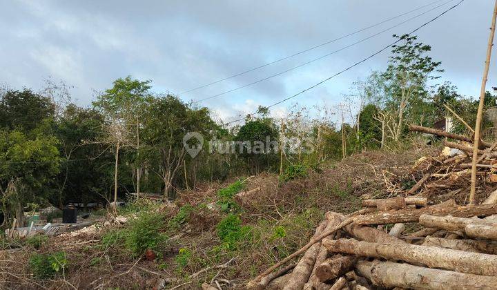 Cheap Land For Rent Near Dipecatu Beach 2