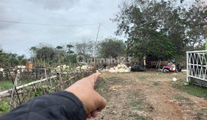 Quick Sale Land in Kutuh Suitable for Investment 2