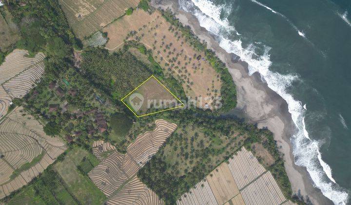 Quick Sale Commercial Land Near Mejan Beach 1