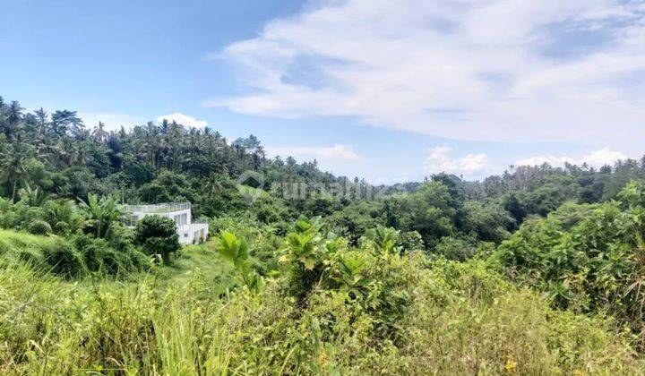 Land for Sale 30 Are View River and Valley in Klungkung 1