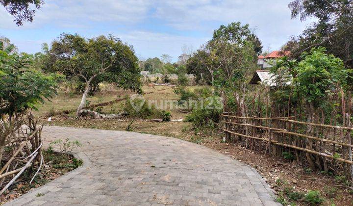 Land for Rent in Pecatu Tourism Area 2