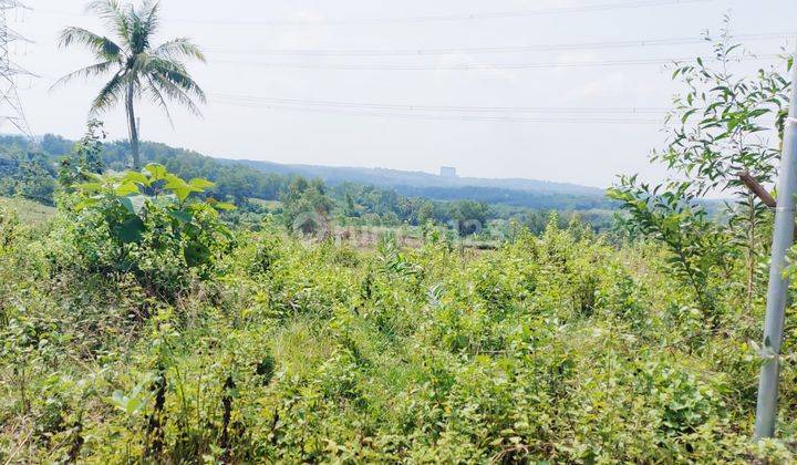 Tanah Murah Prospek Banyak Dicari 64 hectare Zona Industri Cocok Kawasan Pergudangan Pabrik di Karawang Barat Jabar 1