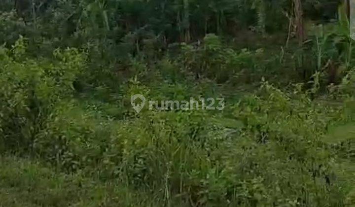 Lahan Murah Dan Cantik Dibawah Njop Cocok Pabrik Zona Industri Dkt Toll 1.047 Hektarkarawang Timur  2