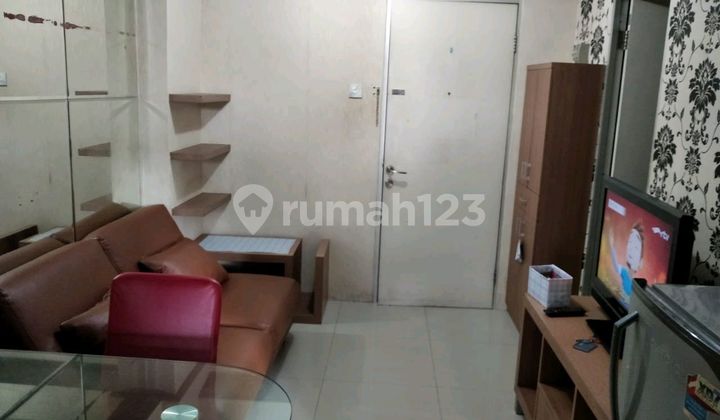 Apary.murah.jarang Ada 2