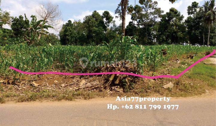 Tanah Murah Pinggir Jalan Natar 3