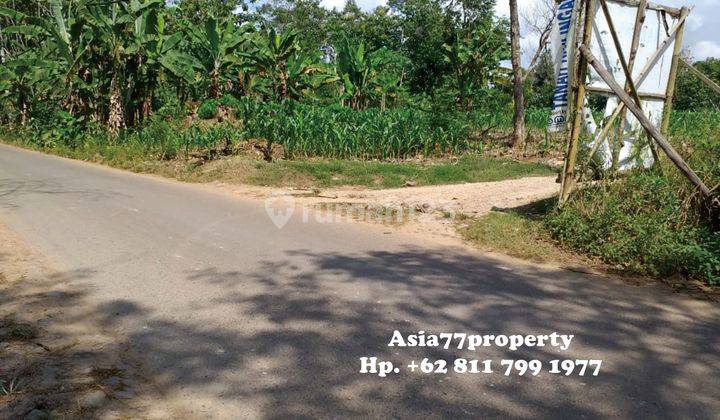 Tanah Murah Pinggir Jalan Natar 4