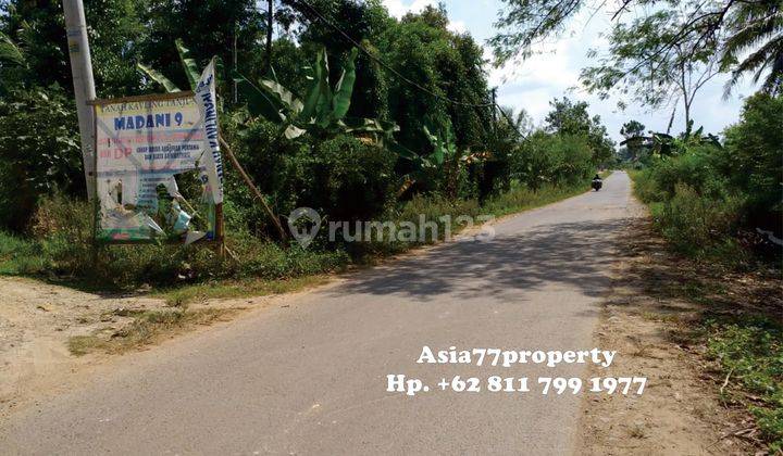 Tanah Murah Pinggir Jalan Natar 5