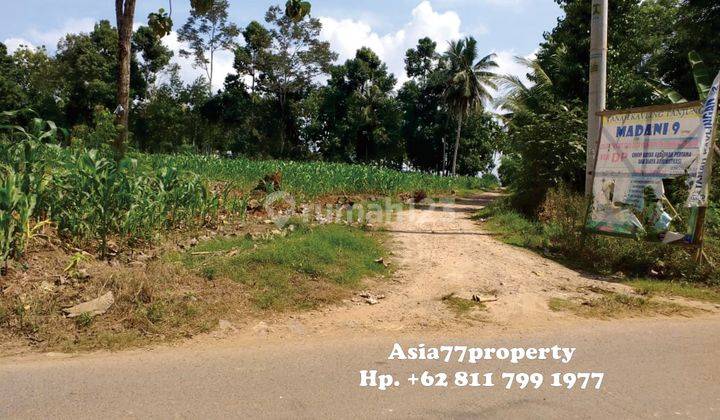 Tanah Murah Pinggir Jalan Natar 6