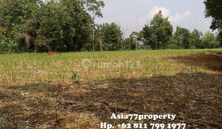 Tanah Murah Pinggir Jalan Natar 7