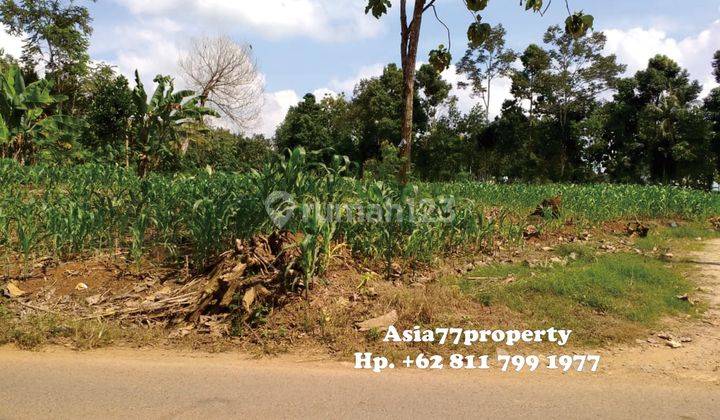 Tanah Murah Pinggir Jalan Natar 9