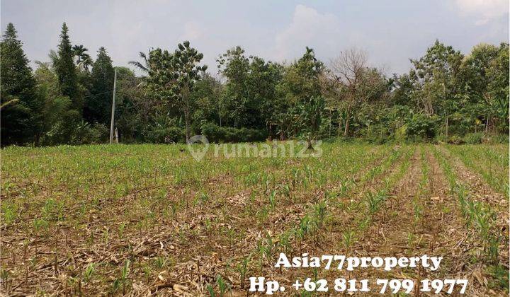 Tanah Murah Pinggir Jalan Natar 10