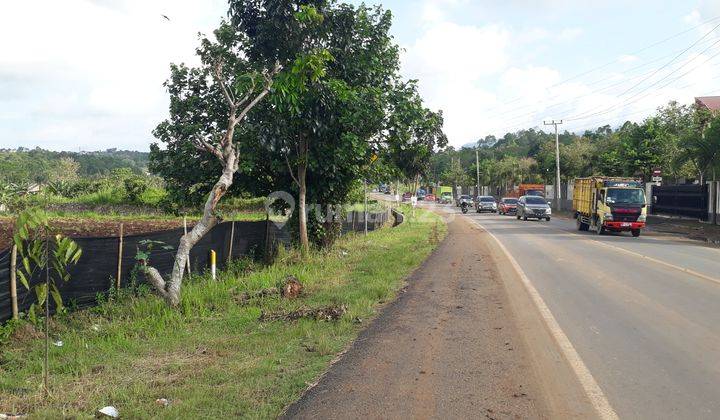 Tanah Murah. Pinggir Jalan Raya Soekarno Hatta. Bandar Lampung. 12