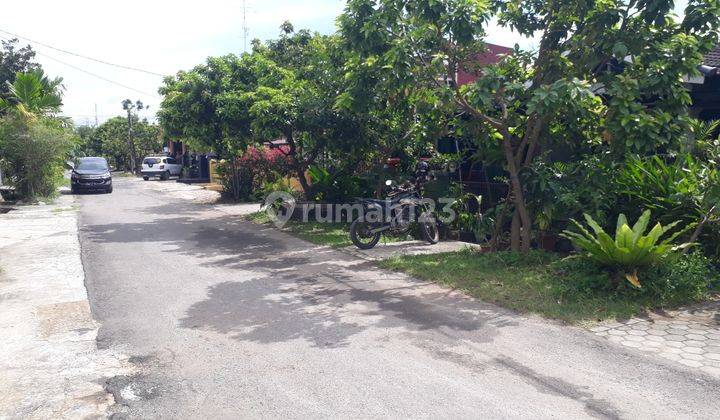 di Dijual Murah Rumah Nyaman Dan Rapi.

jl. Ryamiraz Riacudu. 
dekat Dengan Pemerintahan. Sekolah. Universitas.
itera. Ubl. Teknokrat.

lokasi Sangat Strategis. Di Tengah Kota.
cocok Untuk Hunian
cocok Untuk Investasi

rumah Nyaman
surat Lengkap. Shm. Pbb 2