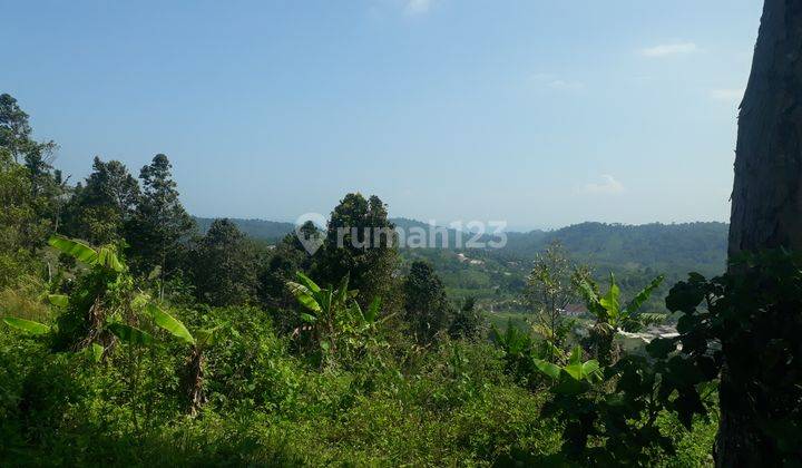 Tanah Bakauheni murah komersil 6
