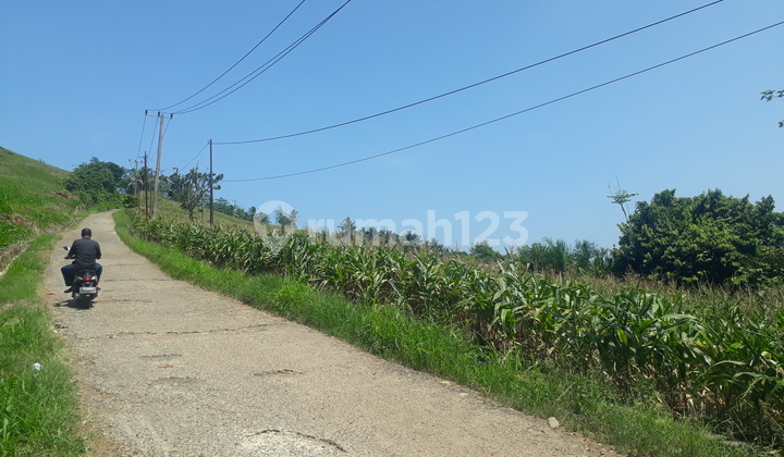 Tanah Bakauheni murah komersil 10